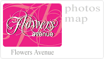 Flowers Avenue - Άνθη - Φυτά . Κάντε κλικ για περισσότερα...