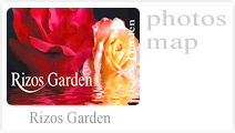 Rizos Garden - Άνθη - Φυτά . Κάντε κλικ για περισσότερα...