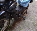 201084_1675004026_0.jpeg