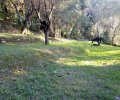 201291_1675249122_1.jpeg
