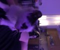207354_1685094464_1.jpeg