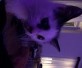 207354_1685094464_2.jpeg