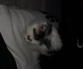 207354_1685094464_3.jpeg
