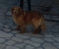 207905_1686254428_1.jpeg