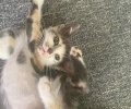208901_1688655756_1.jpeg