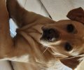 211282_1694208937_0.jpeg