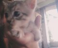 212102_1695912862_2.jpeg