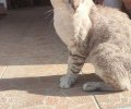 230942_1737767341_2.jpeg