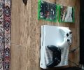 231522_1738823985_0.jpeg