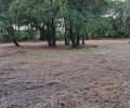 236742_1748464041_2.jpeg