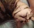 243666_1765142277_2.jpeg
