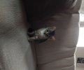 243971_1766048492_1.jpeg