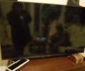 246495_1771434458_2.jpeg