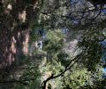 247344_1772981655_0.jpeg