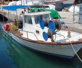 248924_saronic_1.jpg