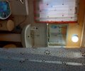 250803_1780240942_0.jpeg