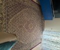 251179_1780996916_0.jpeg