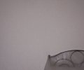 251535_1781796961_2.jpeg
