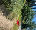 251565_1781878708_1.jpeg