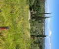 251565_1781878708_2.jpeg