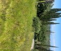 251565_1781878708_3.jpeg