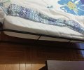 252230_1783866022_1.jpeg