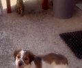 252423_1784460454_0.jpeg