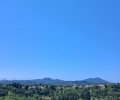 252603_1784967736_2.jpeg