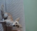 252853_1785690942_0.jpeg