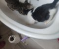 253765_1788270451_3.jpeg