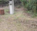 254930_1790925831_1.jpeg