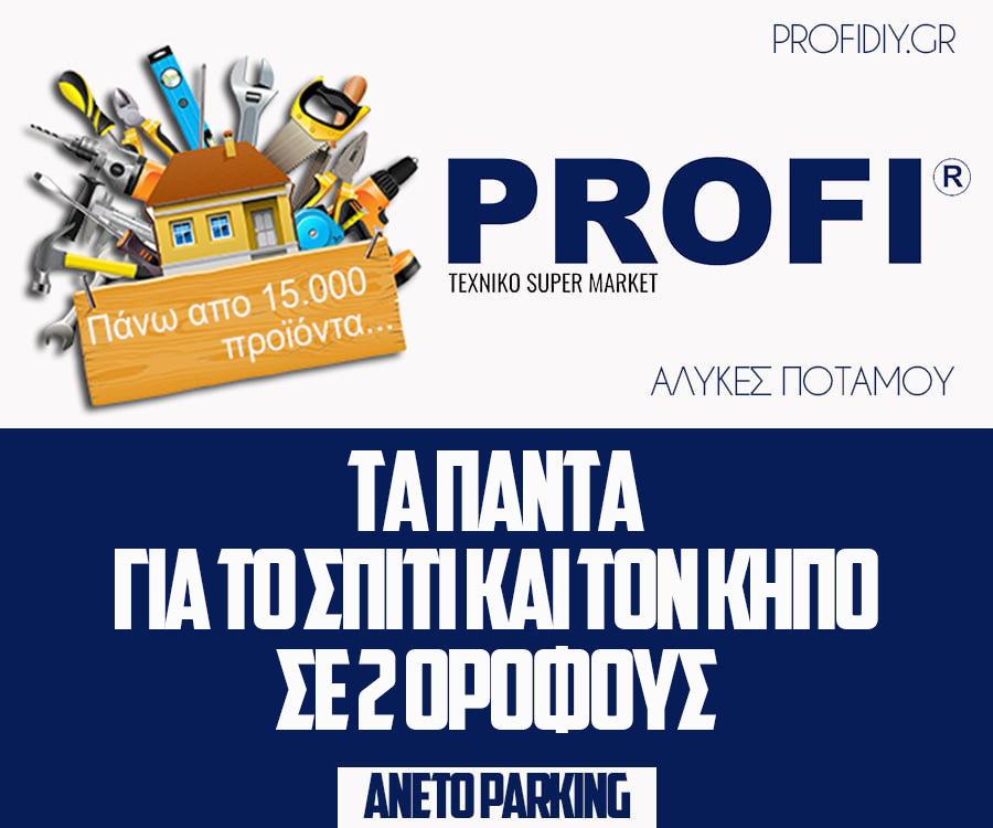 profi 111119