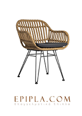 Epipla_19022019
