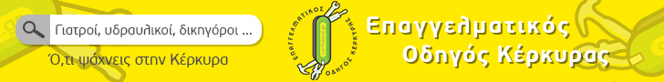 Επαγγελματικός Οδηγός