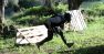 paintball5